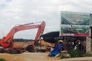 Vụ 14ha tràm bị phá ở Đồng Nai: Không đủ yếu tố cấu thành tội?