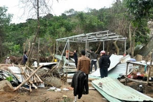 Vụ phá rừng Sơn Trà: Đình chỉ 5 cán bộ kiểm lâm Vụ phá rừng Sơn Trà: Đình chỉ 5 cán bộ kiểm lâm