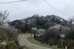 Băng giá phủ trắng nhiều nơi ở Hà Giang và Cao Bằng