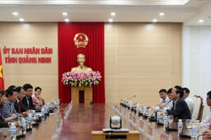 Tỉnh Quảng Ninh làm việc với Tập đoàn JDC để đón nhà đầu tư vào KKT Vân Đồn