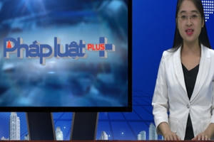 Bản tin Thời sự tổng hợp Pháp luật Plus 24/7
