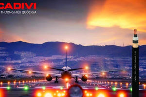 GELEX, Viglacera, CADIVI vào Top 25 thương hiệu dẫn đầu của Forbes Việt Nam