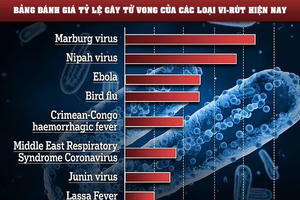 WHO phát cảnh báo khẩn cấp liên quan tới bệnh "chảy máu mắt"