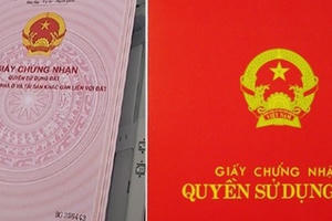 Sổ đỏ bị ố, nhòe, rách, hư hỏng người dân phải làm gì? Sổ đỏ bị ố, nhòe, rách, hư hỏng người dân phải làm gì?