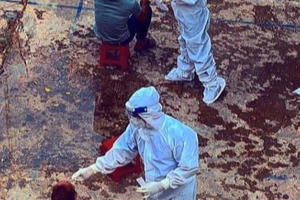 Tây Ninh quyết liệt xét nghiệm sàng lọc đợt 4 và ứng phó vùng còn nguy cơ