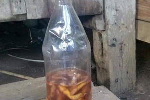 Quảng Nam: Uống rượu ngâm rễ cây rừng, hai người tử vong