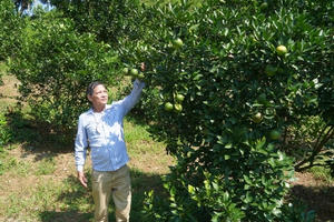 Kẻ “dẫn lối” cho người khuyết tật ở miền Cao nguyên đá