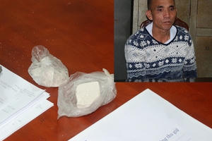 Bắc Giang: Bắt đối tượng mua bán, vận chuyển 50 gam heroin
