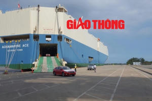 Hàng nghìn ô tô Honda cập cảng, giá giảm 200 triệu mỗi chiếc