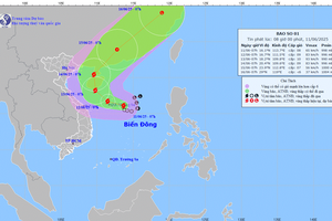Bão số 1 hình thành, chính thức ghi nhận cơn bão đầu tiên năm 2025