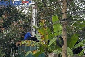 Yêu cầu Sở Y tế Tuyên Quang xác minh việc đốt rác thải y tế giữa lòng thành phố Yêu cầu Sở Y tế Tuyên Quang xác minh việc đốt rác thải y tế giữa lòng thành phố