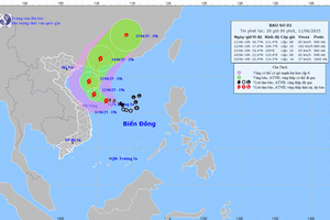 Bão số 1 trên biển Đông gây mưa lớn nhiều khu vực tại Tây Nguyên