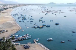 Điểm sáng trong thu hút đầu tư nước ngoài