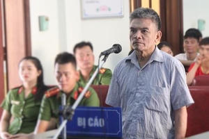 Đốt rừng để mua đất, lĩnh hơn 7 năm tù phải đền bù 2,3 tỷ đồng