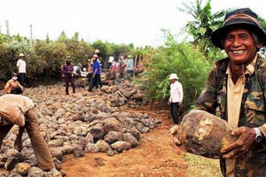 Cựu chiến binh tiên phong hiến đất làm đường ở Tây Nguyên