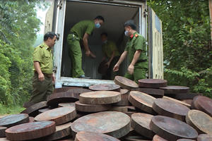 Hà Giang: Chặn đứng xe ô tô tải chở 278 khúc gỗ nghiến dạng thớt đi tiêu thụ