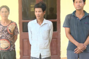 Bắt giữ 3 nghi phạm trong vụ hơn 700 cây keo chặt phá ở Thiệu Hóa