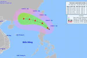 Bộ Công an đề nghị Công an các địa phương ứng phó với bão SAOLA