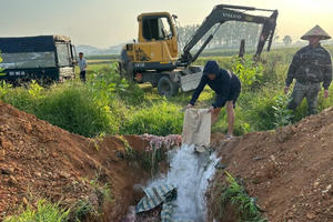 Nghệ An: Xe tải chở 1,3 tấn nội tạng có dấu hiện biến chất