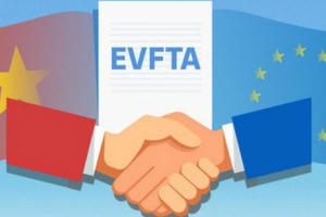 Những động lực mới Những động lực mới