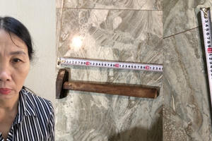 Bắc Ninh: Con dâu dùng dao chọc tiết lợn và búa giết bố chồng