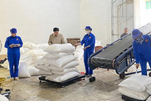 Gần 2,336 tấn gạo hỗ trợ người dân trong thời gian giáp hạt