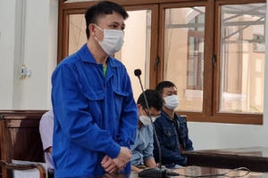 Ham cờ bạc, "cò đất" mua sổ đỏ trên mạng để lừa đảo