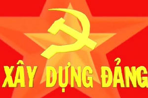 Bộ Chính trị kết luận thí điểm đổi mới, sắp xếp tổ chức, nhân sự