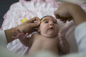 Phòng chống virut zika: Giám sát chặt chẽ tại các cửa khẩu, cảng biển Phòng chống virut zika: Giám sát chặt chẽ tại các cửa khẩu, cảng biển