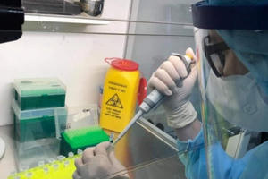 Nghệ An có 249 trường hợp trở về từ Quảng Ninh và Hải Dương