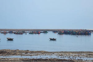 Hải Phòng: Huyện đảo Bạch Long Vỹ phát triển toàn diện, vững chắc