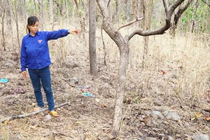 Người vợ sát nhân "liên minh" với nhân tình sát hại chồng rồi tạo dựng hiện trường giả