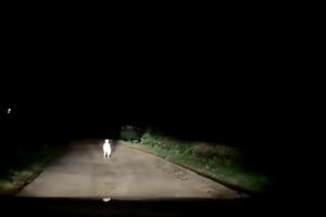 [Clip]: Hoảng hồn thấy em bé đứng giữa đường trong đêm