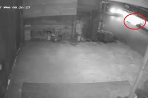 [Clip]: Ô tô gây tai nạn trong đêm rồi bỏ chạy