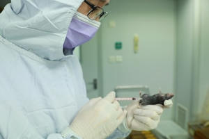 Số người chết tăng vọt, thế giới cấp tập tìm vắc xin chống dịch corona