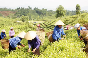 Mở rộng đối tượng, các chế độ thụ hưởng chính sách bảo hiểm thất nghiệp