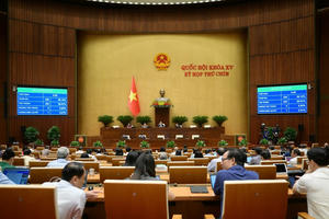 Quốc hội thông qua Nghị quyết thành lập Hội đồng bầu cử quốc gia gồm 19 thành viên