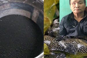 Thanh Hoá: Bắt quả tang đối tượng tàng trữ 17kg thuốc nổ và đạn súng tự chế