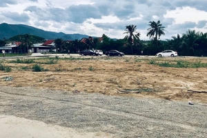 Điều kiện chuyển đất trồng hoa màu sang đất thổ cư năm 2021