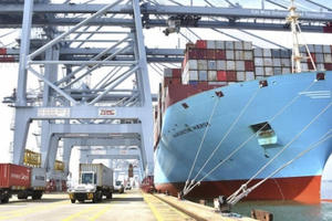 Nhiều doanh nghiệp vận tải biển có lãi, cổ phiếu lên cao