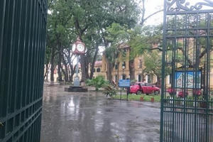 Hà Nội: Mưa to kèm theo gió lớn, một cây xà cử đổ làm 4 học sinh nhập viện