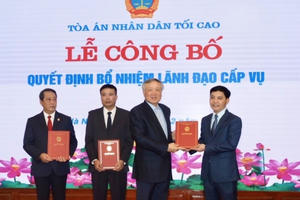 Ông Trần Đức Vinh được bổ nhiệm giữ chức Tổng biên tập Báo Công lý