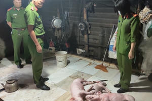 Kinh hoàng: Lợn chết không rõ nguồn gốc được mua về quay bán cho khách tại Hà Tĩnh