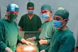 Nghệ An: Người phụ nữ bị bò húc thủng bụng, đứt ruột