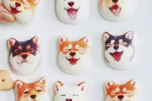 Quà lạ 8/3: Bộ mặt chó shiba 9 biểu cảm gây sốt thị trường