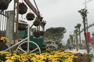 Con đường hoa đẹp như mơ “hút hồn” du khách tại thành phố Vinh ngày Tết