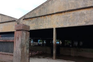 Thừa Thiên Huế: Hàng trăm hộ dân kêu trời vì lò mổ gia súc gây ô nhiễm