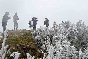 Thời tiết hôm nay: Khu vực núi cao phía Đông Bắc Bộ có nơi xấp xỉ 0 độ, khả năng có băng giá