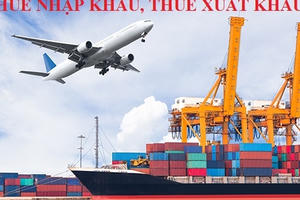 Hướng dẫn hồ sơ giảm thuế đối với hàng hóa xuất nhập khẩu Hướng dẫn hồ sơ giảm thuế đối với hàng hóa xuất nhập khẩu