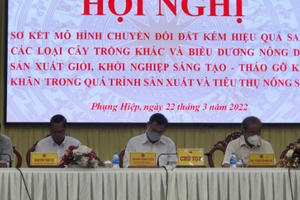 Huyện Phụng Hiệp mạnh dạn thay đổi cây trồng hiệu quả và giá trị cao